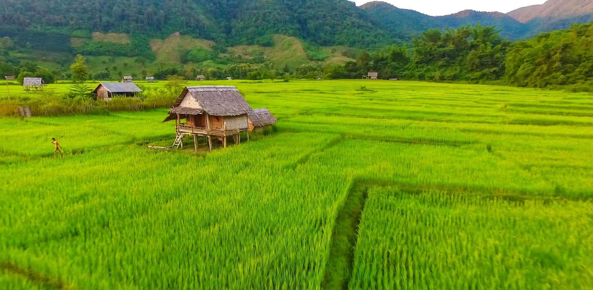 Begin your travel day with Muang La’s serene ambiance